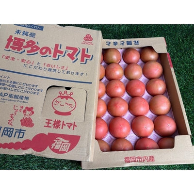 福冈元冈水果番茄 Fukuoka Motooka Fruit Tomato 3kg | Premium Tomato from Fukuoka | Heng Fruits Singapore
