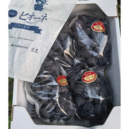 冈山種無猫眼葡萄 Okayama Seedless Pione 2kg / 4 bunches | Premium Grapes from Okayama, Japan | Heng Fruits Singapore