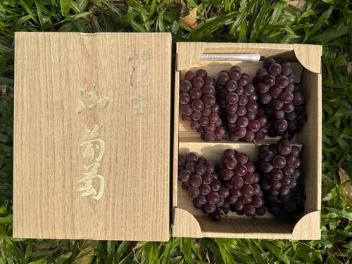 山梨King德拉瓦葡萄礼盒 Yamanashi KING Delaware Grapes Gift Box Heng Fruits