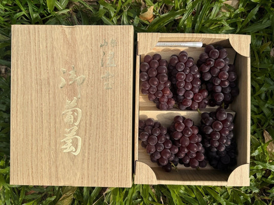 山梨King德拉瓦葡萄礼盒 Yamanashi KING Delaware Grapes Gift Box Heng Fruits