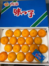 长崎西海蜜柑 Saikai Mikan (Nagasaki)