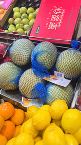Sugar Kiss Melon