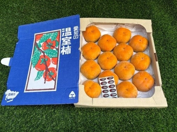 爱知次郎柿 Aichi Jiro Persimmon