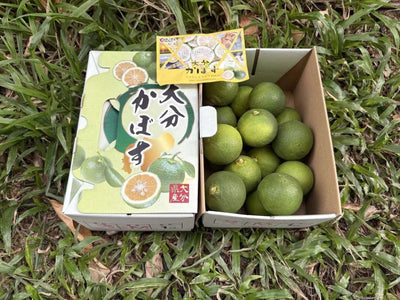 大分酸柚 Yuzu