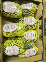 Pineapple - Taiwan Heng Fruits