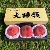 山梨 金大糖领桃 Yamanashi Kin Daitoryo Peach 1kg (3pcs) | Premium Japanese Peach from Yamanashi | Heng Fruits Singapore