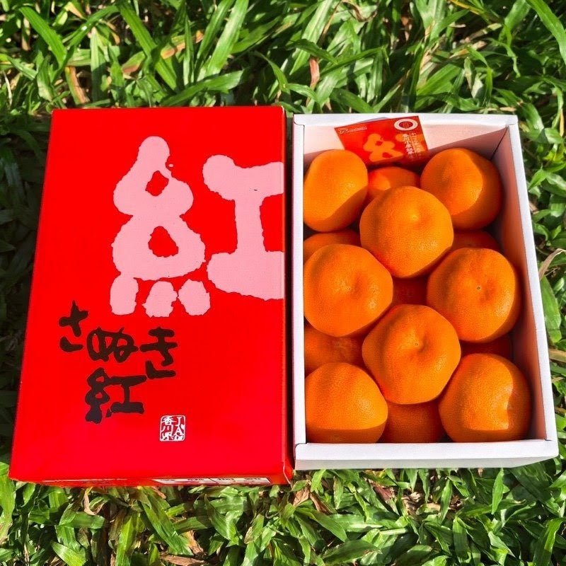 香川小原红早生蜜柑礼盒 Kagawa Obara Red Early Mandarin Gift Box