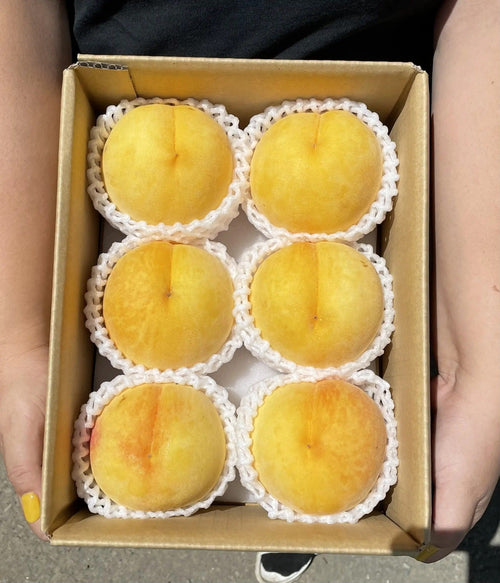 山梨黄金桃石和 Yamanashi Isawa Golden Peach Ougon 1kg 4pcs | Premium Japanese Golden Peach from Yamanashi | Heng Fruits Singapore