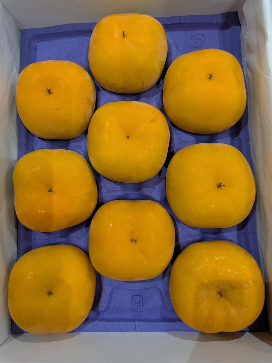 浜北次郎柿 Hamakita Jiro Persimmon