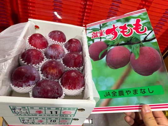 山梨夏日天使李子 Yamanashi Summer Angel Plum 1.5kg | Premium Japanese Plum from Yamanashi | Heng Fruits Singapore