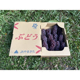 山形温室德拉瓦葡萄 Yamagata Greenhouse Delaware Grapes | Premium Grapes from Yamagata, Japan | Heng Fruits Singapore