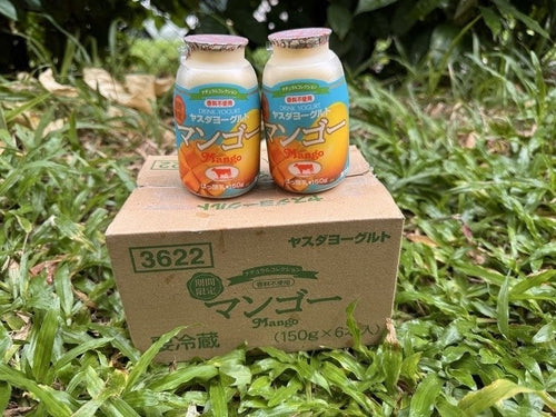 安田芒果酸奶Yasuda Mango Yogurt
