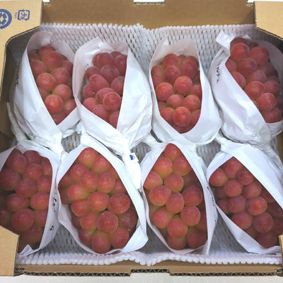 山梨 Sunny Dolce 红提 Yamanashi Sunny Dolce Red Grapes