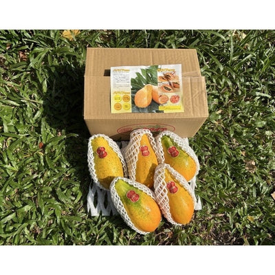 宫崎木瓜 Miyazaki Papaya