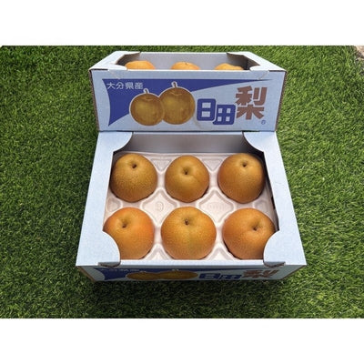 大分日田梨 Oita Hita Pear (Gift Box)