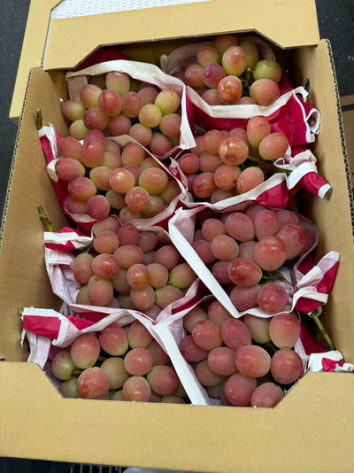 山梨阳光红香印 Yamanashi Shine Muscat Red Shine Muscat 3kg | Premium Red Grapes from Yamanashi | Heng Fruits Singapore