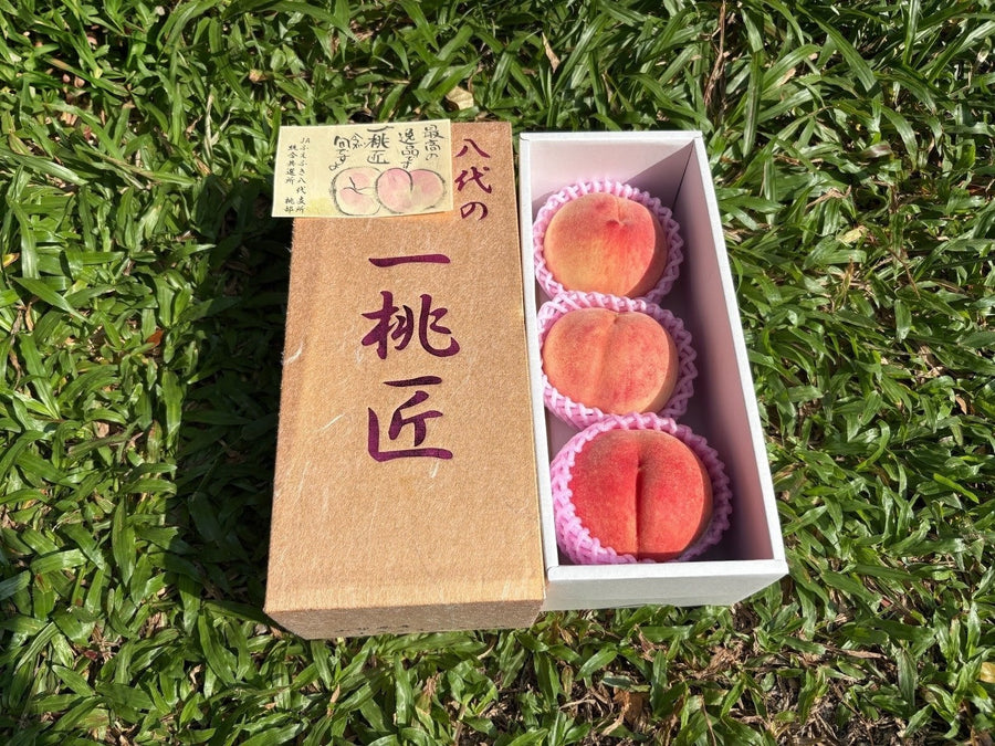 山梨八代桃 一桃匠 Yamanashi Yatsushiro Ittoushou Peach