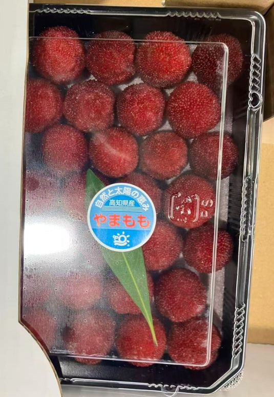 高知杨梅 Kochi Yamamomo (Waxberry) Heng Fruits