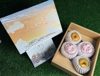 鸟取新甘泉梨礼盒 Tottori Shinkansen Pear Gift Box