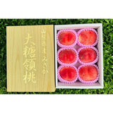 山梨 金大糖领桃 Yamanashi Kin Daitoryo Peach 2kg Gold Gift Box | Premium Japanese Peach from Yamanashi | Heng Fruits Singapore