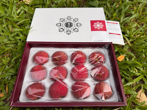 宫崎荔枝礼盒 Miyazaki Lychee Gift Box 500g | Fresh Japanese Lychee from Miyazaki | Heng Fruits Singapore