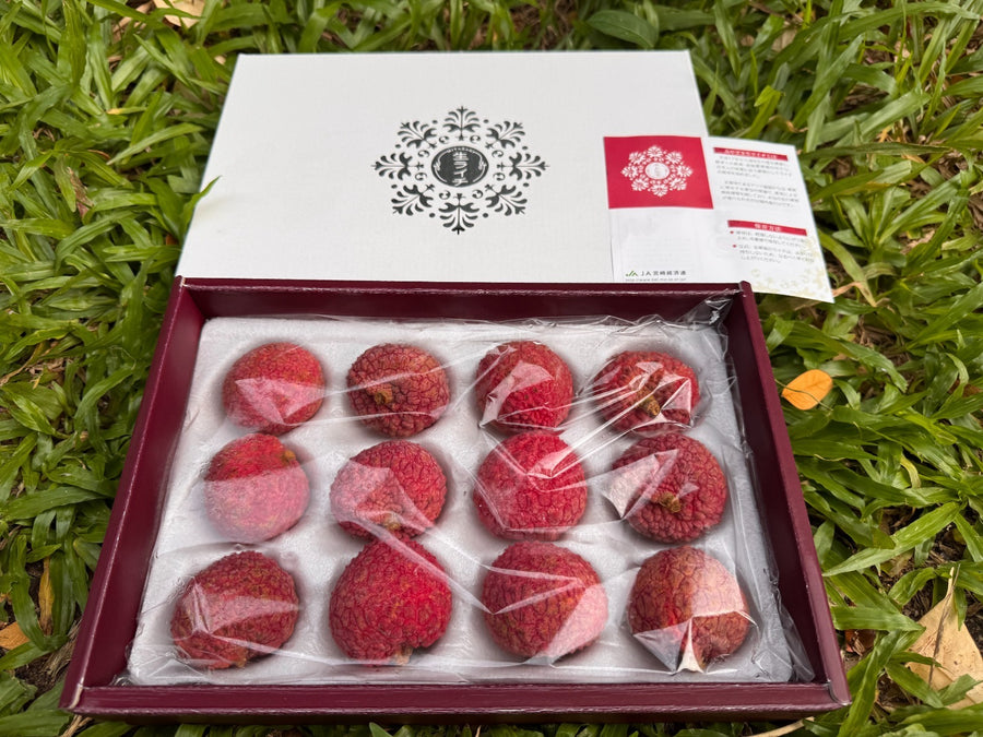 宫崎荔枝礼盒 Miyazaki Lychee Gift Box