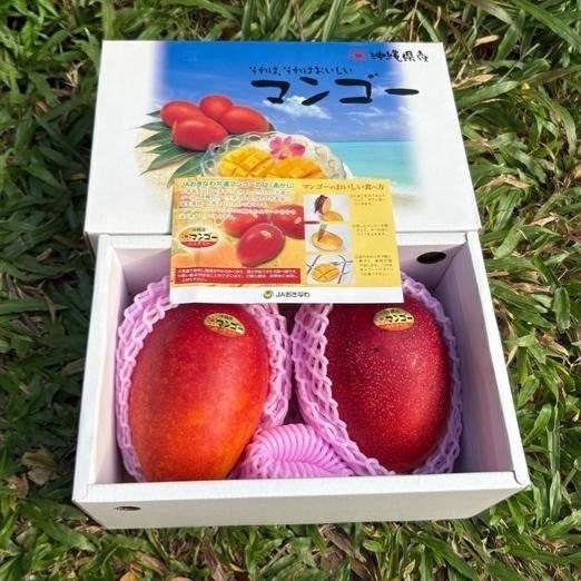 冲绳芒果 Okinawa Irwin Mango