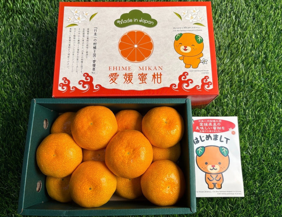 爱媛蜜柑 Ehime Mikan