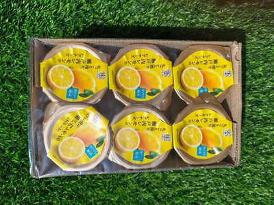 神户出品瀏户内柠檬奶酪甜点 Kobe Crafted Setouchi Lemon Rare Cheese Dessert 570g 6pcs | Premium Japanese Dessert | Heng Fruits Singapore