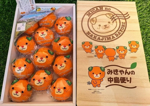 爱媛中岛便蜜柑 Ehime Nakajima-Bin Mikan Heng Fruits