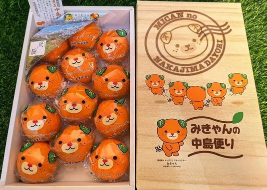 爱媛中岛便蜜柑 Ehime Nakajima-Bin Mikan Heng Fruits