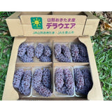 山形温室德拉瓦葡萄 Yamagata Greenhouse Delaware Grapes | Premium Grapes from Yamagata, Japan | Heng Fruits Singapore