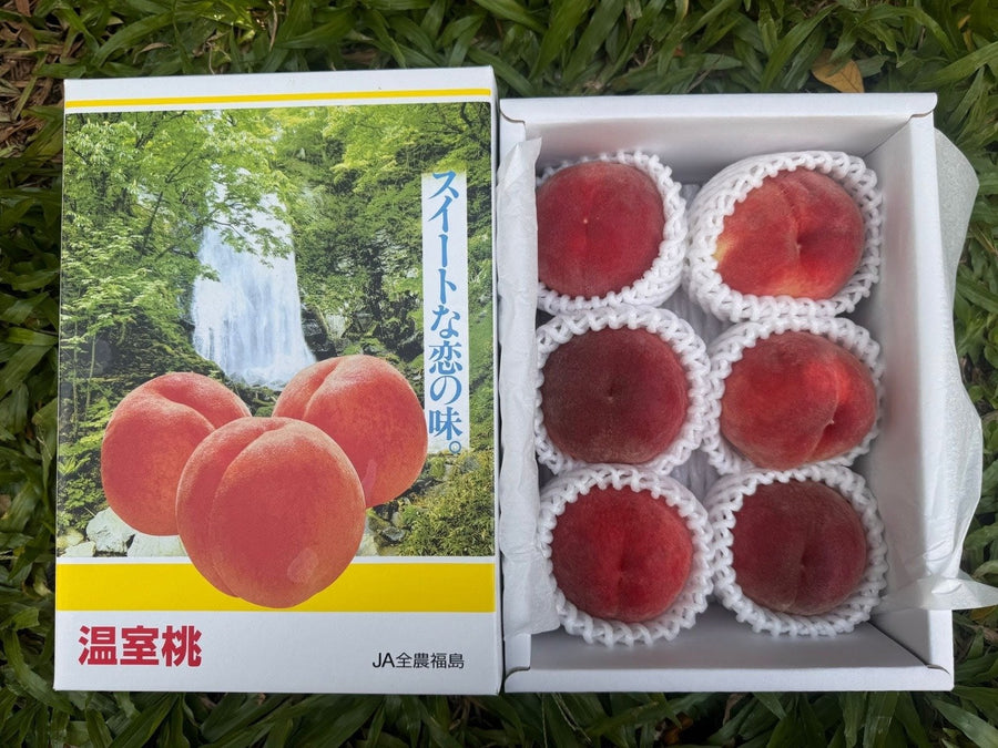 福岛日川白鳳桃 Fukushima Hikawa Hakuhou Momo (White Peach)