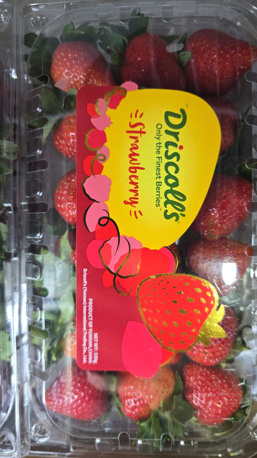 云南草莓 Driscoll's Strawberry 中国云南