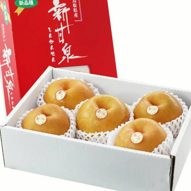 鸟取新甘泉梨礼盒 Tottori Shinkansen Pear Gift Box