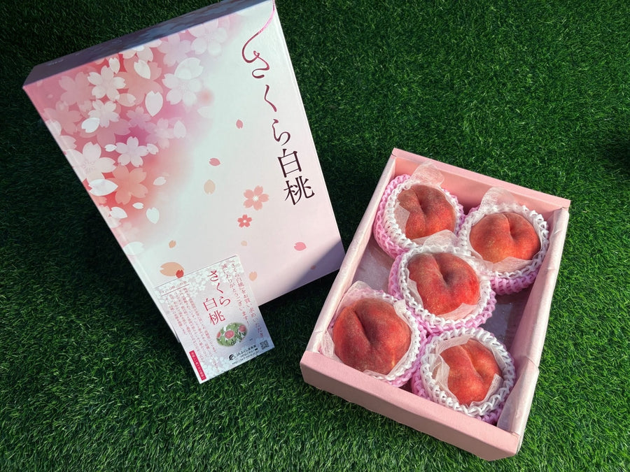 福岛桃 Fukushima Sakura Hakuto Momo (White Peach)