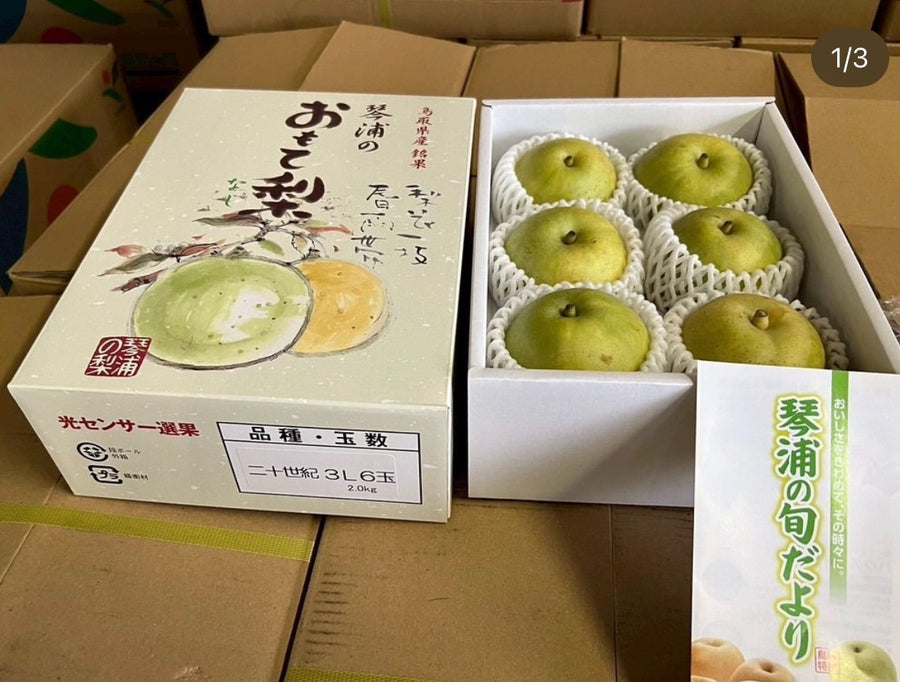 鸟取二十世纪梨礼盒 Tottori Nijisseiki Pear Gift Box
