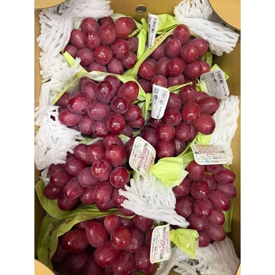长野妃红提 Nagano Queen Rouge Grapes