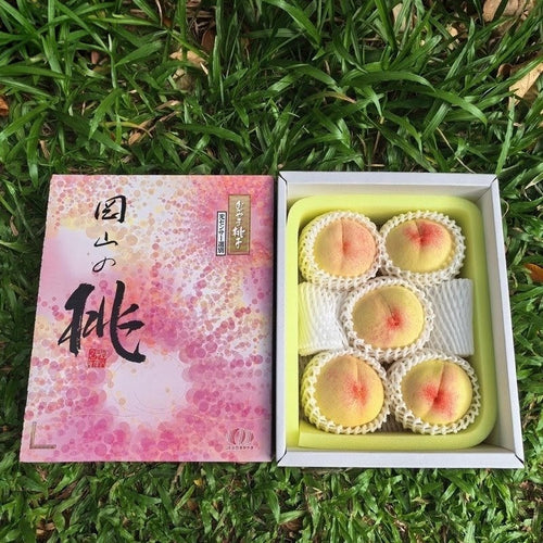 冈山浅原白桃 Okayama Asahara White Peach 2kg 5pcs | Premium Peach from Okayama | Heng Fruits Singapore
