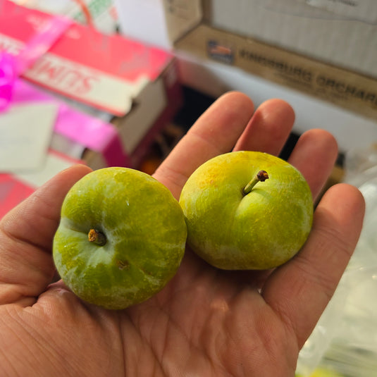 Emerald Beauty Mini Green Plums Heng Fruits