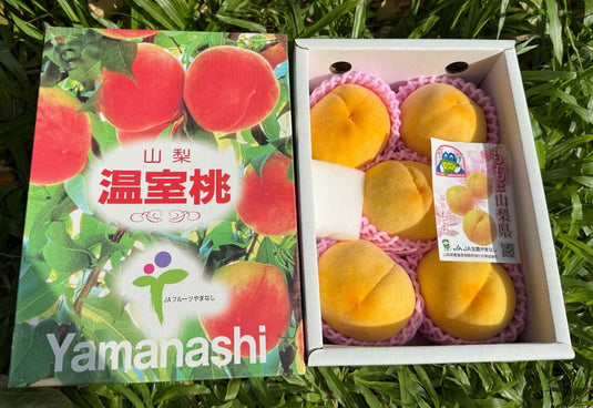 山梨温室黄金桃 Yamanashi Golden Momo (Golden Peach) Heng Fruits