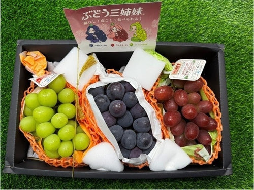 长野三色香印 Nagano Three Color Shine Muscat 2.2kg 3 packs | Premium Grapes from Nagano | Heng Fruits Singapore