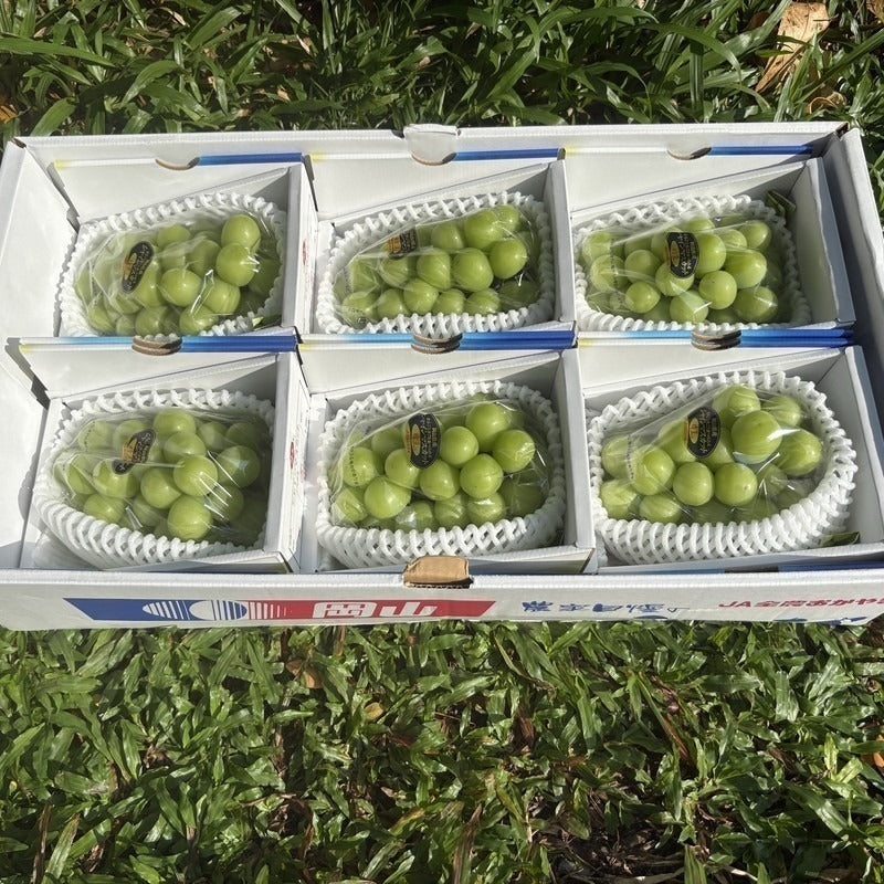 日本冈山晴王礼盒 Okayama Shine Muscat Gift Box