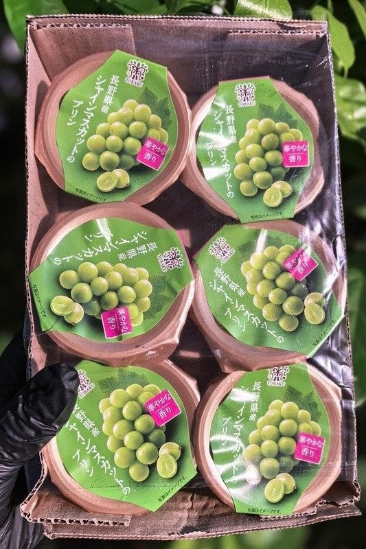 长野香印提子布丁 Nagano Shine Muscat Grape Pudding