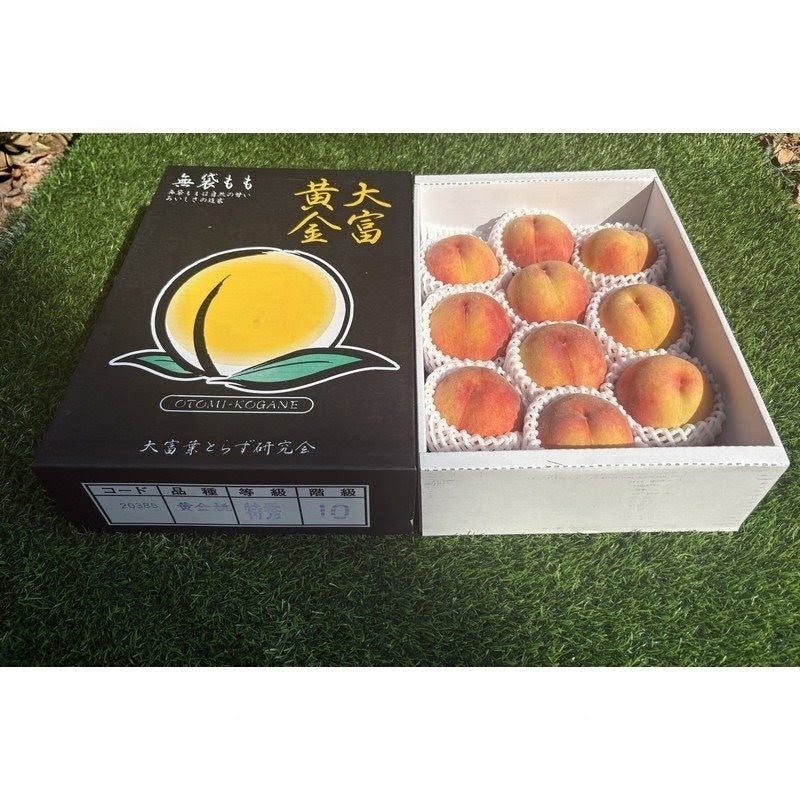 山形黄金桃 Yamagata Golden Peach