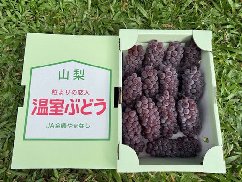 山梨温室德拉瓦葡萄 Yamanashi Greenhouse Delaware Grapes 2kg | Premium Delaware Grapes from Yamanashi | Heng Fruits Singapore