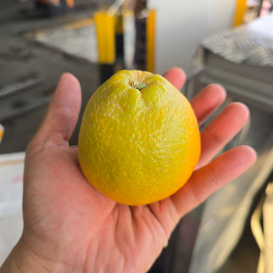 China Sweet Oranges Heng Fruits