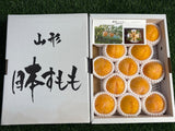 山形峰满黄李 Yamagata Homan Yellow Plum