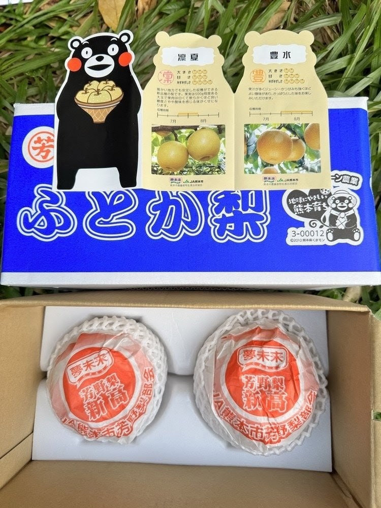 熊本新高梨 Kumamoto Niitaka Pear