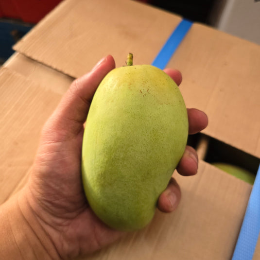 Philippines Mango Heng Fruits